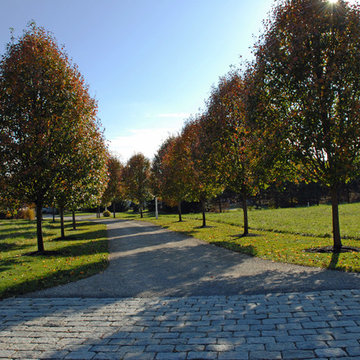 Paver Driveways & Cobble Aprons