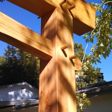 Yard Entry and Gate