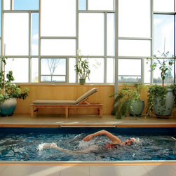 Endless Pools - Indoor Endless Pool&reg; - Hot Tub And Pool Supplies