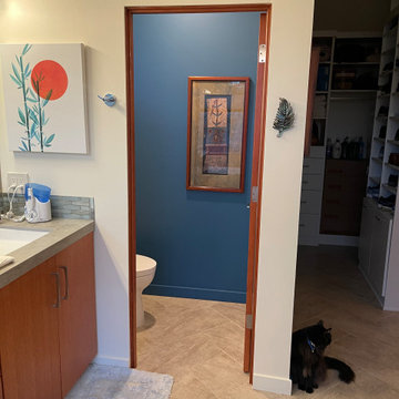 Interior Remodel: Arizona master toilet closet