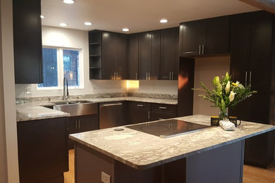 Trendy u-shaped kitchen photo in Other with shaker cabinets, gray cabinets, granite countertops and an island
