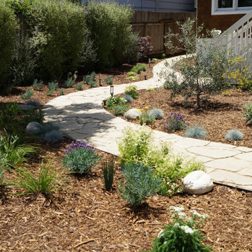 A Modern Take on the Cottage Garden