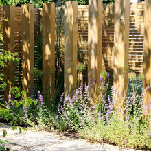 Fences And Dividers