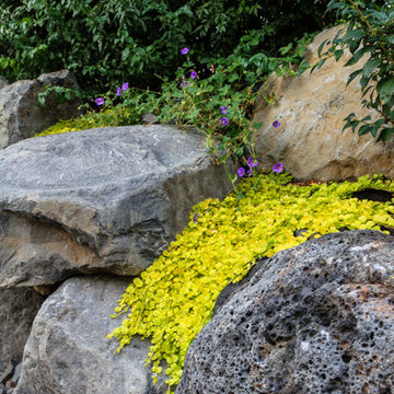 Canon Hill Driveway