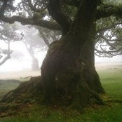 Graça Rodrigues's photo