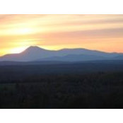 Lynn Rush's photo
