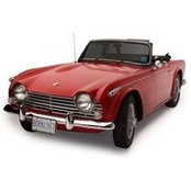Dion Widrich's photo