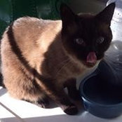 Jorge Gonzalez's photo
