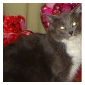Sonia Mott's photo