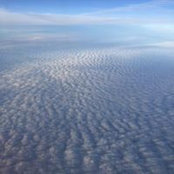 Katie Levanduski's photo