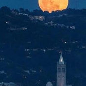 Andrew Wodecki's photo