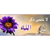 Mohamed Elbolaky's photo