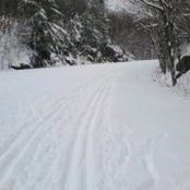 Foto von Sherry Campbell