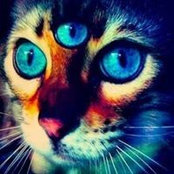 Agartha Zens foto