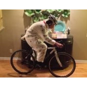 Sean Mooney's photo