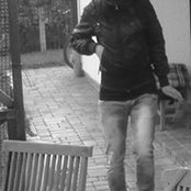 Dace Priedes foto