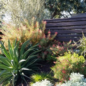 General Clean-up & Plant Additions