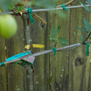 My Houzz: Colorful Garden Oasis in Marin County