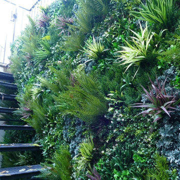 Unsightly Staircase gets Upgraded with Fake Green Walls