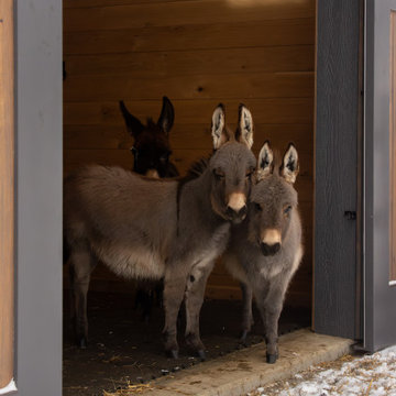 Swiss Army Barn