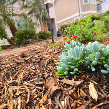 Oxnard Beach House Frontyard