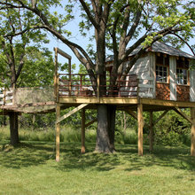 Landscape Ideas