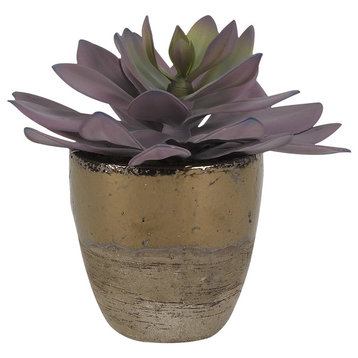 Frosted Pink Echeveria, Rustic Gold Ceramic Planter