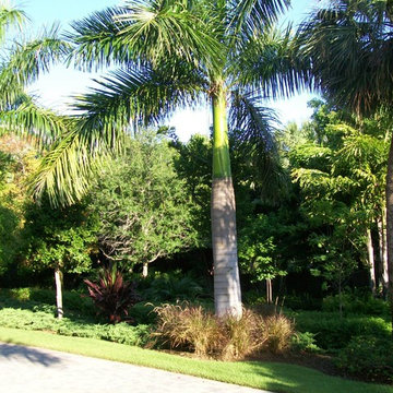 Florida Residential Landscape
