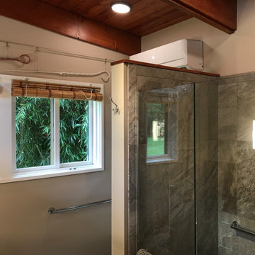 Ann Arbor Master Bath Addition: Water Hill