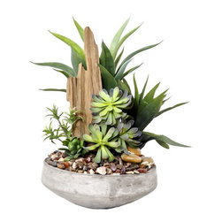 Creative Branch - Plants