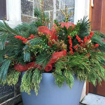 2015 Holiday Containers