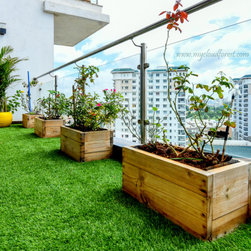 Plants and Pots - Plant Pots & Planters