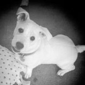 Kathy Marsili's photo