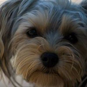 Tricia Atskoff Applegate's photo