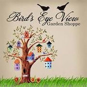 Birds Eye Viewさんの写真