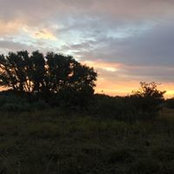 David Williford's photo