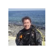 Mark Suzukis foto