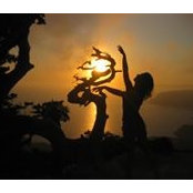 VanEssa Mertens's photo