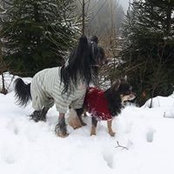 Foto von Manuela Marx