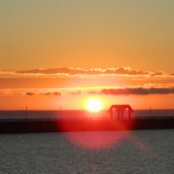 Mary McGowan's photo