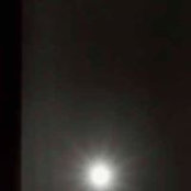 Annalitha Douglas's photo