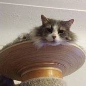 Joanne Ellen's photo