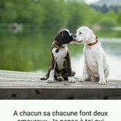 Corinne Andreu's photo
