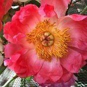 Foto de Kellie Lund