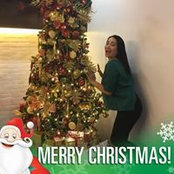 Jingle Knight's photo