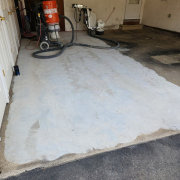 Livonia Residential Garage