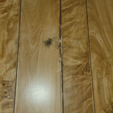 Termite Damage Renovation