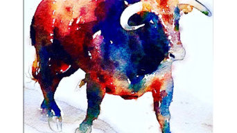 Shabs Beigh - Colourful Bull, 2019