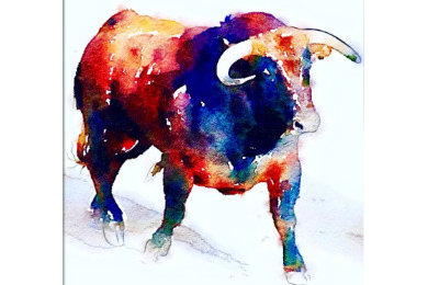Shabs Beigh - Colourful Bull, 2019