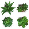 Mini Artificial Succulent Plants in Sleek White Ceramic Pots, Set of 4